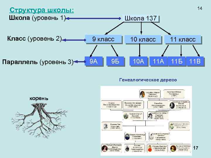 14 Структура школы: Школа (уровень 1) Класс (уровень 2) Параллель (уровень 3) Школа 137