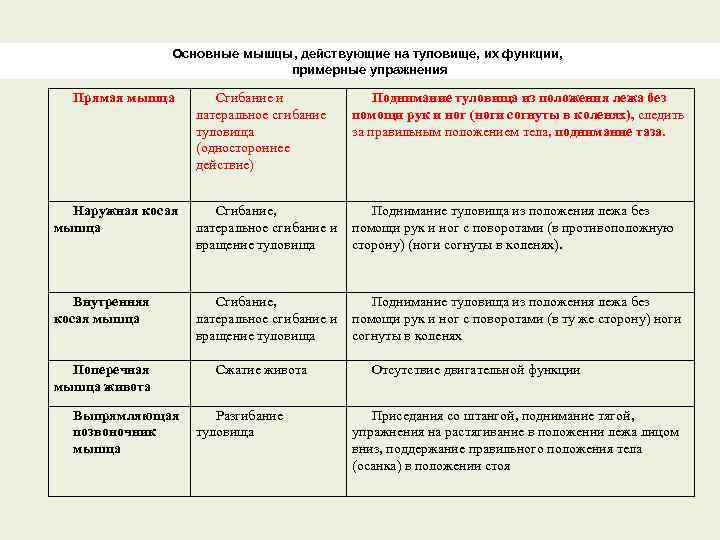 Основные мышцы, действующие на туловище, их функции, примерные упражнения Прямая мышца Сгибание и латеральное