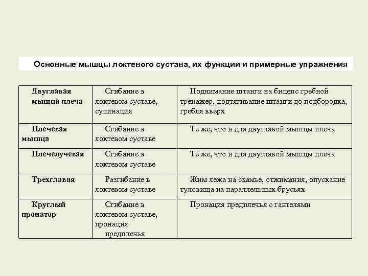 Основные мышцы локтевого сустава, их функции и примерные упражнения Двуглавая мышца плеча Сгибание в
