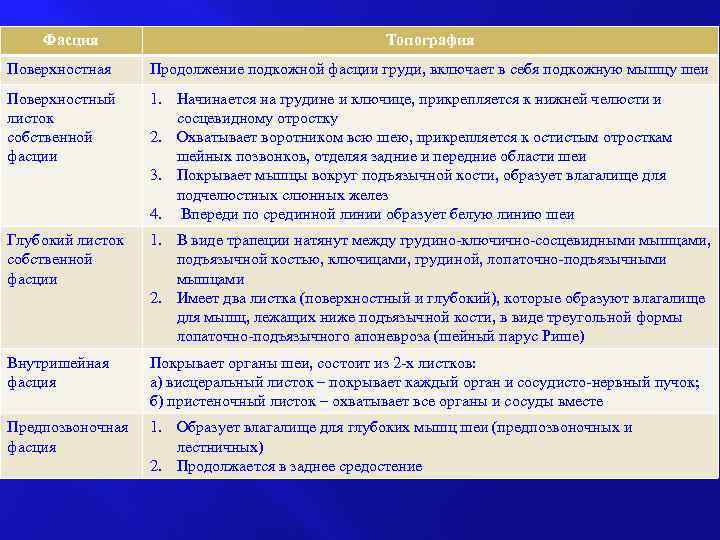 Фасция Топография Поверхностная Продолжение подкожной фасции груди, включает в себя подкожную мышцу шеи Поверхностный