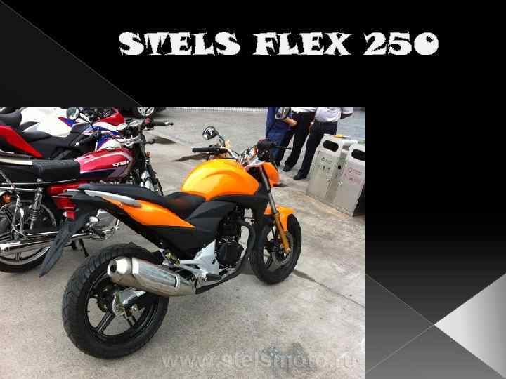 Купить Stels Flex 250 В Краснодаре