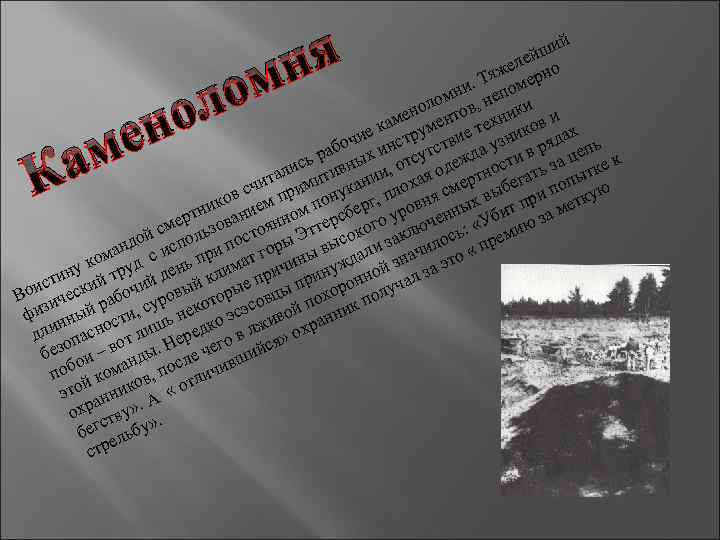 ня ом й ши й еле но ж. Тя омер и омн в, неп