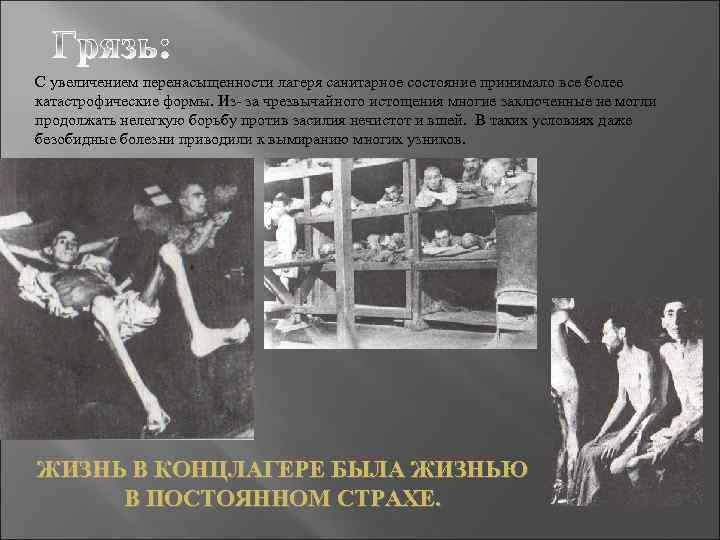 С увеличением перенасыщенности лагеря санитарное состояние принимало все более катастрофические формы. Из- за чрезвычайного