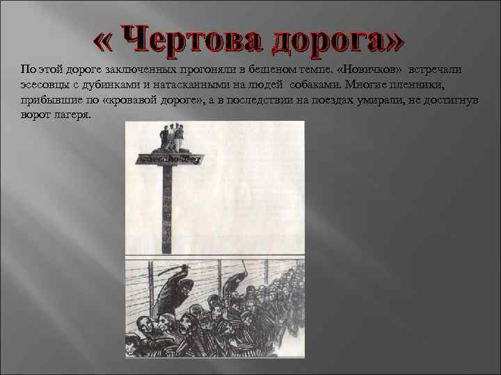  « Чертова дорога» По этой дороге заключенных прогоняли в бешеном темпе. «Новичков» встречали
