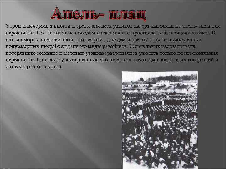 Апель- плац Утром и вечером, а иногда и среди дня всех узников лагеря выгоняли