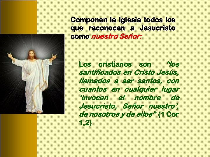 Componen la Iglesia todos los que reconocen a Jesucristo como nuestro Señor: “los santificados
