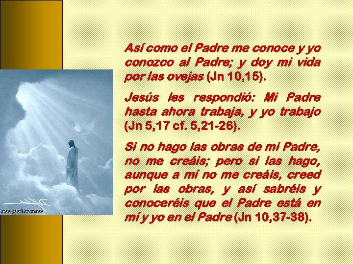 Así como el Padre me conoce y yo conozco al Padre; y doy mi