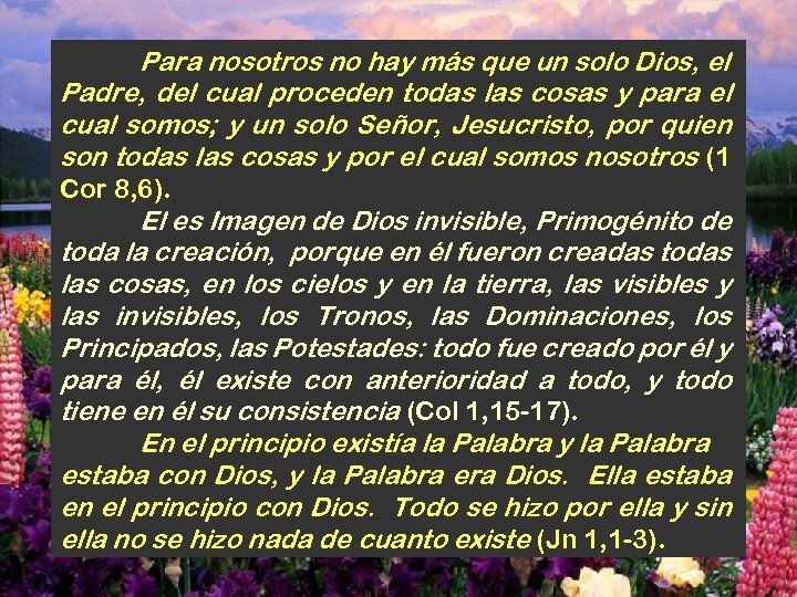 Para nosotros no hay más que un solo Dios, el Padre, del cual proceden