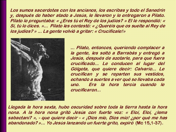 Los sumos sacerdotes con los ancianos, los escribas y todo el Sanedrín y, después