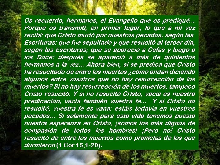 Os recuerdo, hermanos, el Evangelio que os prediqué. . . Porque os transmití, en