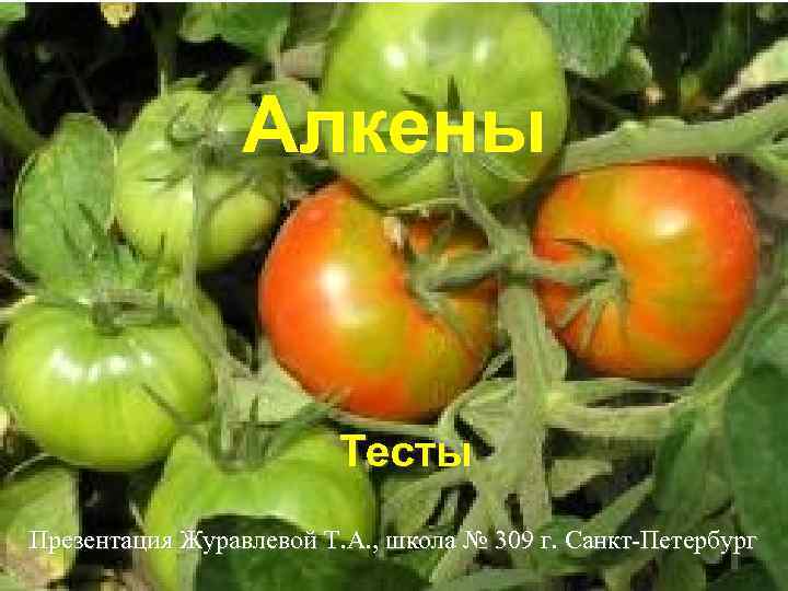 Алкены Тесты Презентация Журавлевой Т. А. , школа № 309 г. Санкт-Петербург 