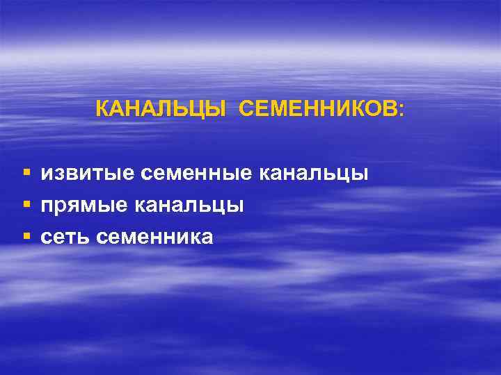 КАНАЛЬЦЫ СЕМЕННИКОВ: § § § извитые семенные канальцы прямые канальцы сеть семенника 