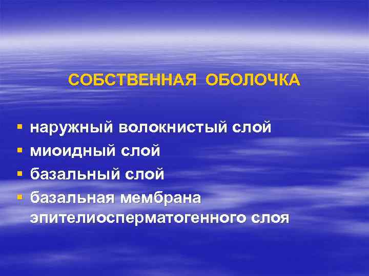СОБСТВЕННАЯ ОБОЛОЧКА § § наружный волокнистый слой миоидный слой базальная мембрана эпителиосперматогенного слоя 