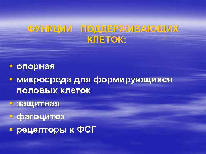 ФУНКЦИИ ПОДДЕРЖИВАЮЩИХ КЛЕТОК: § опорная § микросреда для формирующихся половых клеток § защитная §