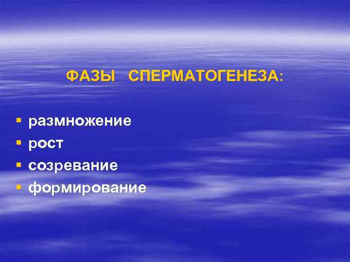 ФАЗЫ СПЕРМАТОГЕНЕЗА: § § размножение рост созревание формирование 