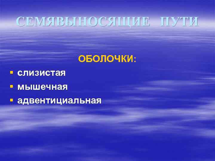 СЕМЯВЫНОСЯЩИЕ ПУТИ ОБОЛОЧКИ: § слизистая § мышечная § адвентициальная 