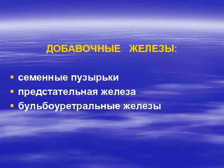 ДОБАВОЧНЫЕ ЖЕЛЕЗЫ: § § § семенные пузырьки предстательная железа бульбоуретральные железы 