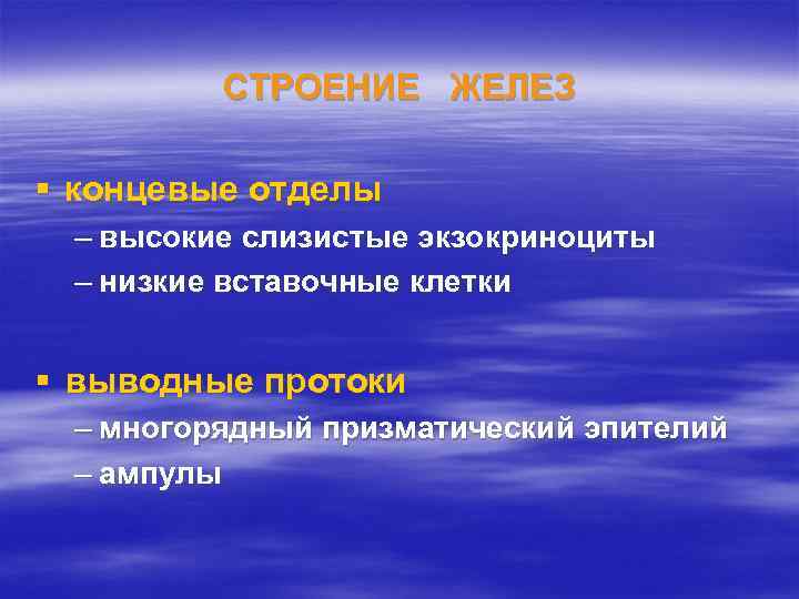 СТРОЕНИЕ ЖЕЛЕЗ § концевые отделы – высокие слизистые экзокриноциты – низкие вставочные клетки §