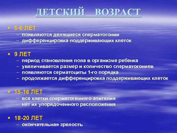 ДЕТСКИЙ ВОЗРАСТ § 5 -6 ЛЕТ – появляются делящиеся сперматогонии – дифференцировка поддерживающих клеток
