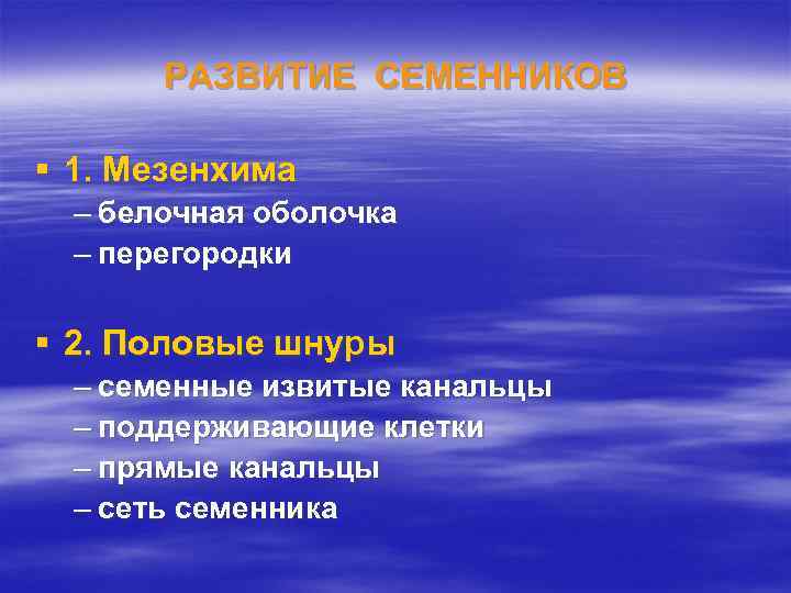 РАЗВИТИЕ СЕМЕННИКОВ § 1. Мезенхима – белочная оболочка – перегородки § 2. Половые шнуры