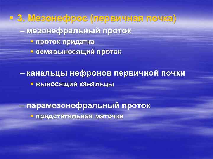 § 3. Мезонефрос (первичная почка) – мезонефральный проток § проток придатка § семявыносящий проток