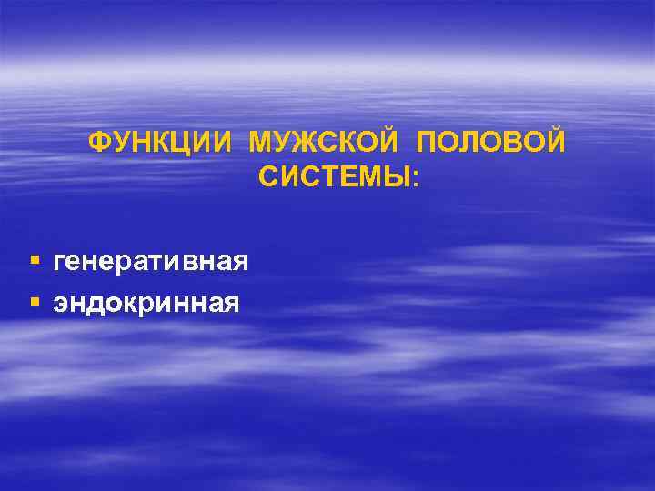 ФУНКЦИИ МУЖСКОЙ ПОЛОВОЙ СИСТЕМЫ: § генеративная § эндокринная 