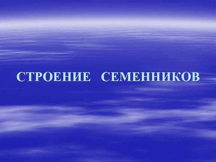СТРОЕНИЕ СЕМЕННИКОВ 
