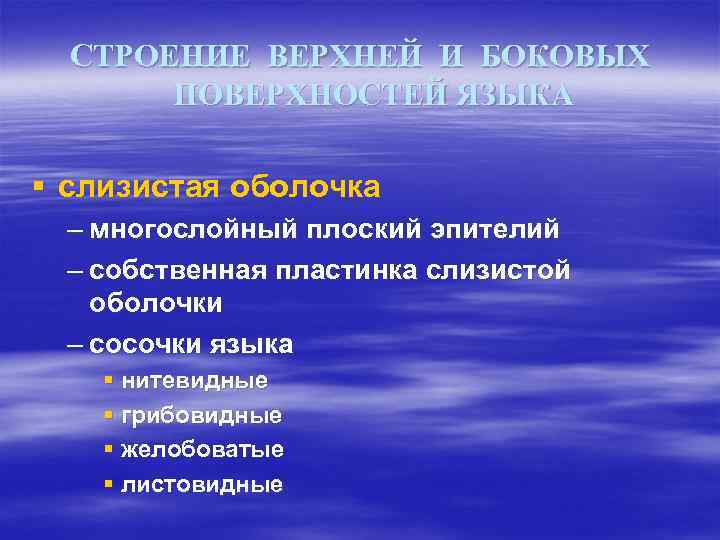 СТРОЕНИЕ ВЕРХНЕЙ И БОКОВЫХ ПОВЕРХНОСТЕЙ ЯЗЫКА § слизистая оболочка – многослойный плоский эпителий –