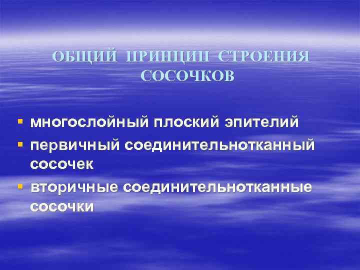 ОБЩИЙ ПРИНЦИП СТРОЕНИЯ СОСОЧКОВ § многослойный плоский эпителий § первичный соединительнотканный сосочек § вторичные