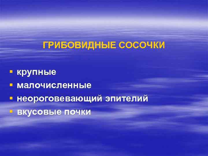 ГРИБОВИДНЫЕ СОСОЧКИ § § крупные малочисленные неороговевающий эпителий вкусовые почки 