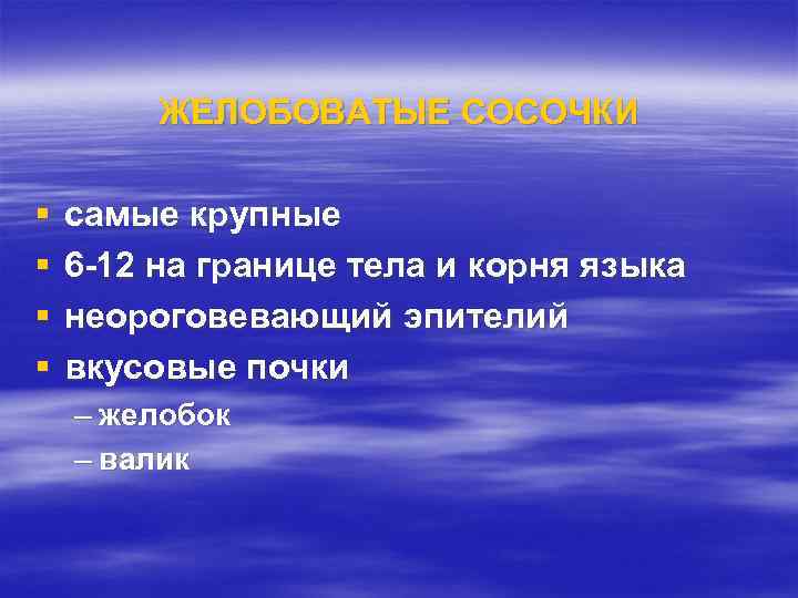 ЖЕЛОБОВАТЫЕ СОСОЧКИ § § самые крупные 6 -12 на границе тела и корня языка