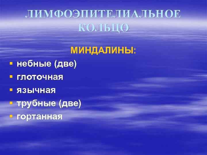ЛИМФОЭПИТЕЛИАЛЬНОЕ КОЛЬЦО § § § МИНДАЛИНЫ: небные (две) глоточная язычная трубные (две) гортанная 