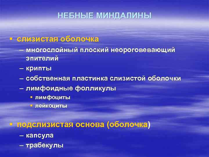 НЕБНЫЕ МИНДАЛИНЫ § слизистая оболочка – многослойный плоский неороговевающий эпителий – крипты – собственная