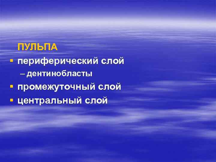 ПУЛЬПА § периферический слой – дентинобласты § промежуточный слой § центральный слой 