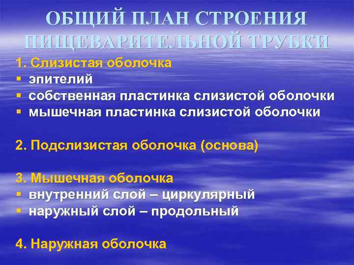 ОБЩИЙ ПЛАН СТРОЕНИЯ ПИЩЕВАРИТЕЛЬНОЙ ТРУБКИ 1. Слизистая оболочка § эпителий § собственная пластинка слизистой