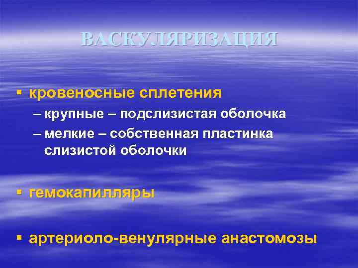 ВАСКУЛЯРИЗАЦИЯ § кровеносные сплетения – крупные – подслизистая оболочка – мелкие – собственная пластинка