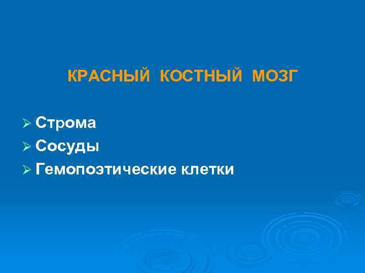 КРАСНЫЙ КОСТНЫЙ МОЗГ Ø Строма Ø Сосуды Ø Гемопоэтические клетки 