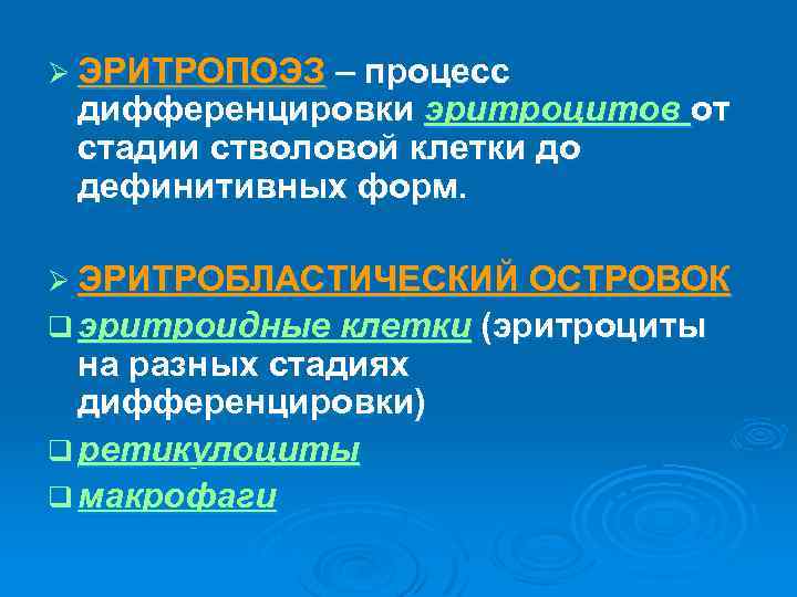 Ø ЭРИТРОПОЭЗ – процесс дифференцировки эритроцитов от стадии стволовой клетки до дефинитивных форм. Ø