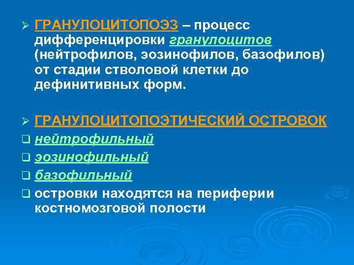 Ø ГРАНУЛОЦИТОПОЭЗ – процесс дифференцировки гранулоцитов (нейтрофилов, эозинофилов, базофилов) от стадии стволовой клетки до