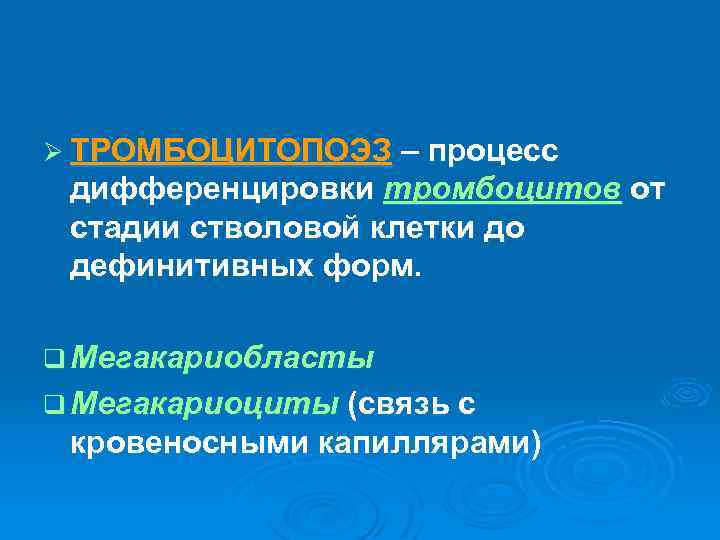 Ø ТРОМБОЦИТОПОЭЗ – процесс дифференцировки тромбоцитов от стадии стволовой клетки до дефинитивных форм. q