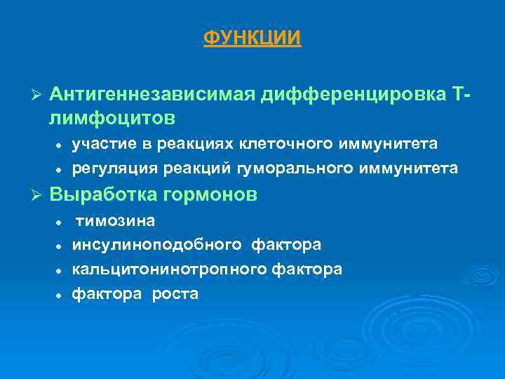 ФУНКЦИИ Ø Антигеннезависимая дифференцировка Тлимфоцитов l l Ø участие в реакциях клеточного иммунитета регуляция