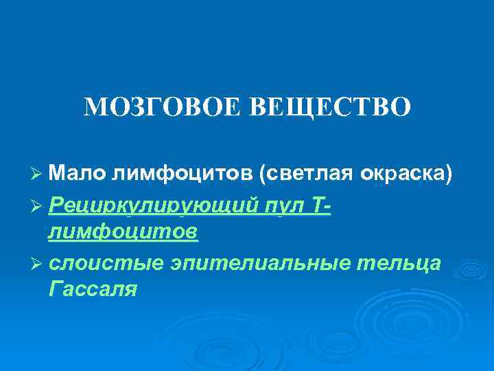 МОЗГОВОЕ ВЕЩЕСТВО Ø Мало лимфоцитов (светлая окраска) Ø Рециркулирующий пул Т- лимфоцитов Ø слоистые