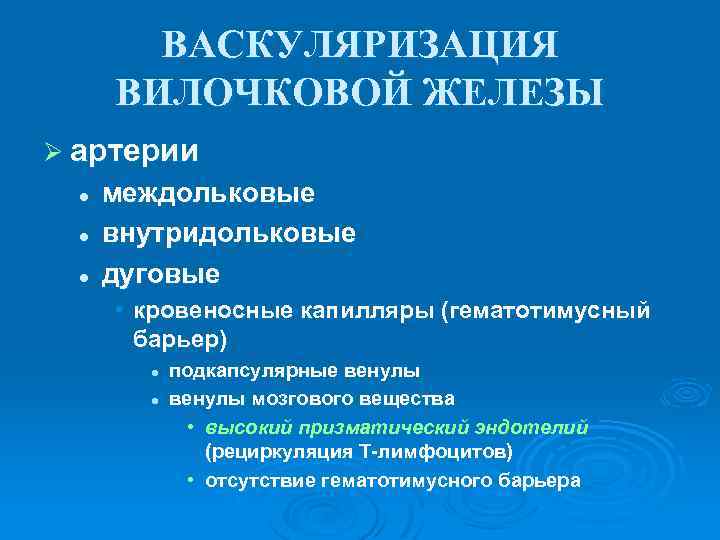 Васкуляризация это. Васкуляризация вилочковой железы. Васкуляризация гематотимусного барьера. Особенности васкуляризации тимуса. Васкуляризация тимуса гистология.