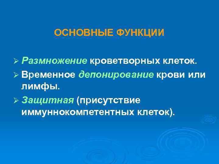 ОСНОВНЫЕ ФУНКЦИИ Ø Размножение кроветворных клеток. Ø Временное депонирование крови или лимфы. Ø Защитная