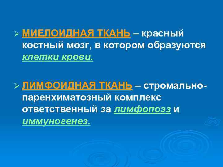 Ø МИЕЛОИДНАЯ ТКАНЬ – красный костный мозг, в котором образуются клетки крови. Ø ЛИМФОИДНАЯ