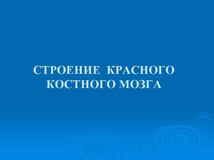 СТРОЕНИЕ КРАСНОГО КОСТНОГО МОЗГА 