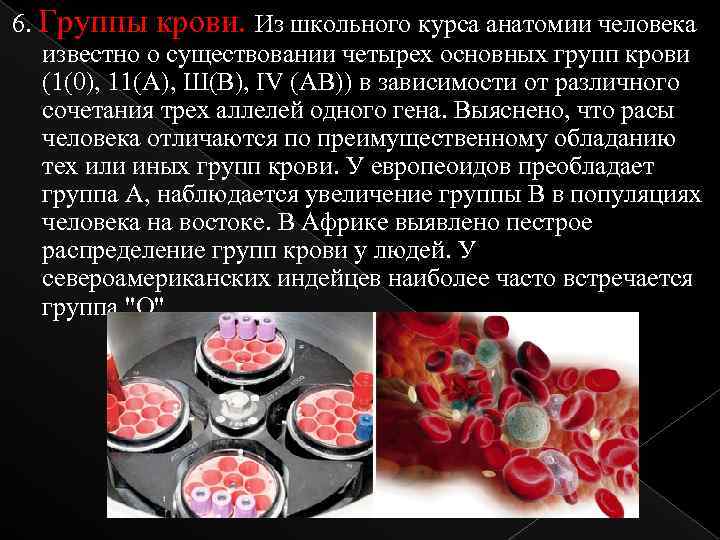 6. Группы крови. Из школьного курса анатомии человека известно о существовании четырех основных групп