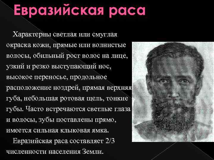 Евразийская раса Характерны светлая или смуглая окраска кожи, прямые или волнистые волосы, обильный рост