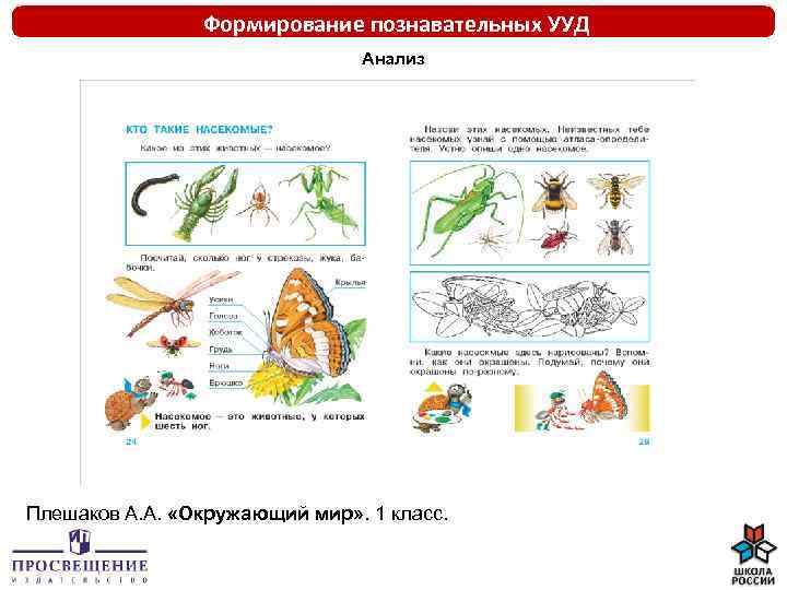 Формирование познавательных УУД Анализ Плешаков А. А. «Окружающий мир» . 1 класс. 