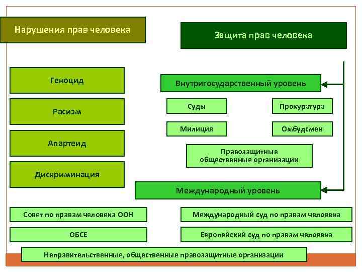 Нарушения прав человека Геноцид Защита прав человека Внутригосударственный уровень Апартеид Суды Прокуратура Милиция Расизм